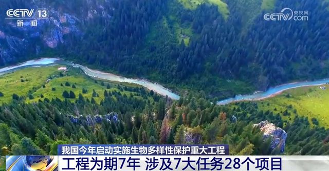 不断擦亮高质量发展“底色” 我国生态系统格局整体稳定并不断优化kaiyun体育官方网站(图2)