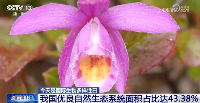 不断擦亮高质量发展“底色” 我国生态系统格局整体稳定并不断优化kaiyun体育官方网站(图4)